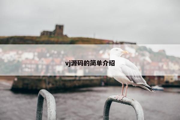 vj源码的简单介绍