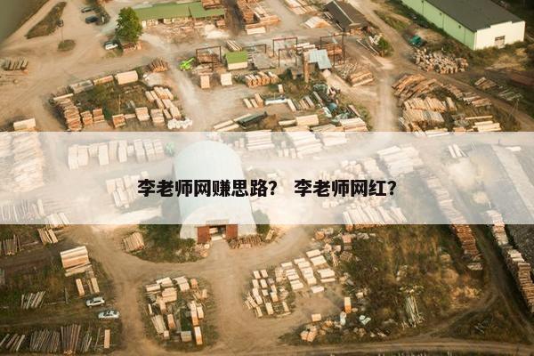 李老师网赚思路？ 李老师网红？