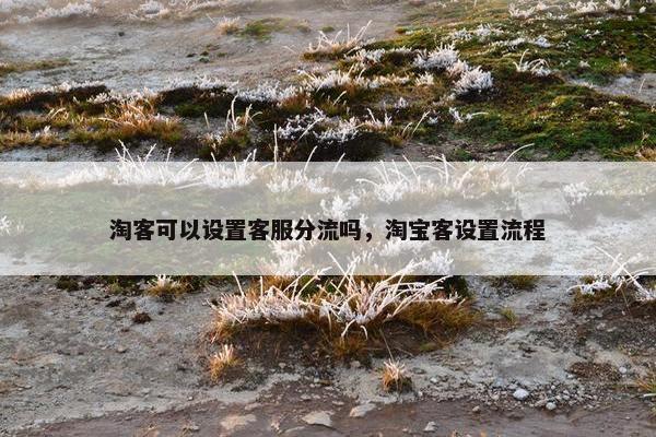 淘客可以设置客服分流吗，淘宝客设置流程