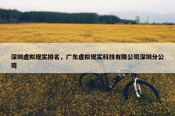 深圳虚拟现实排名，广东虚拟现实科技有限公司深圳分公司