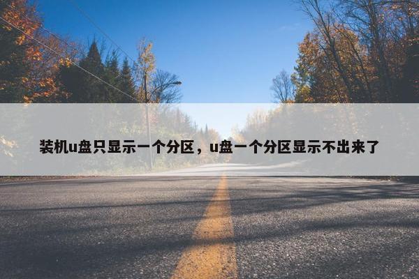 装机u盘只显示一个分区，u盘一个分区显示不出来了