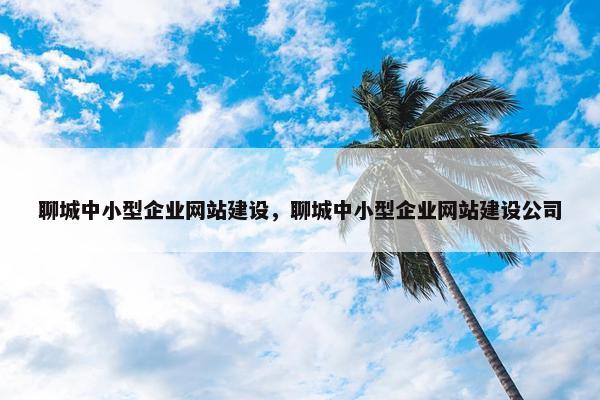 聊城中小型企业网站建设，聊城中小型企业网站建设公司