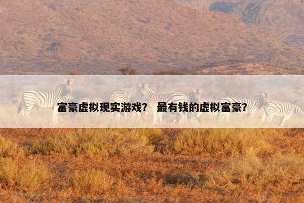 富豪虚拟现实游戏？ 最有钱的虚拟富豪？