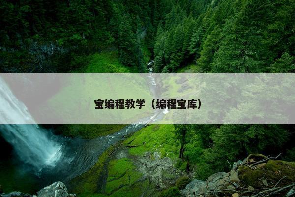 宝编程教学（编程宝库）