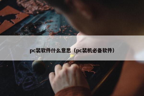 pc装软件什么意思（pc装机必备软件）